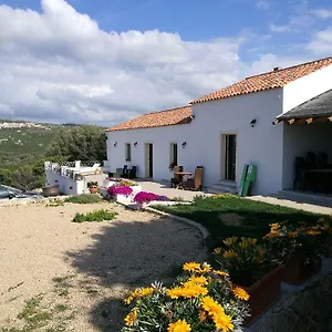 Appartamento L'albero Magico Nella Campagna Gallurese, Santa Teresa di Gallura